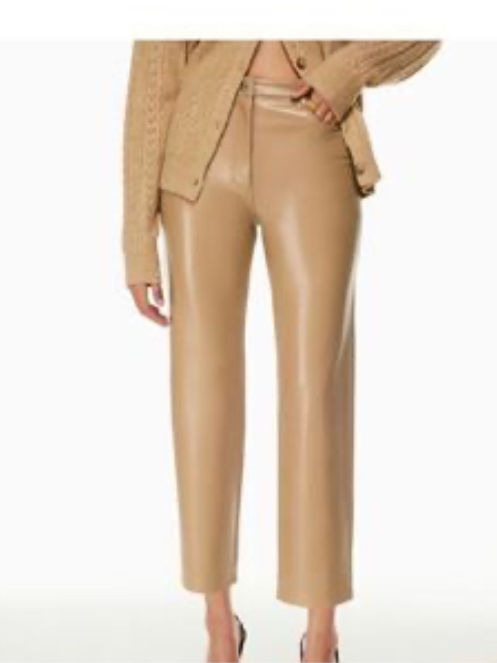 Aritzia Wilfred Vegan Leather Pants